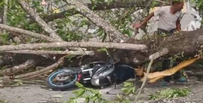 মাত্র ১৫ মিনিটের কালবৈশাখী ঝড়ে লন্ডভন্ড হয়ে গেছে জলপাইগুড়ির বিস্তীর্ণ এলাকা,৪ জনের মৃত্যু